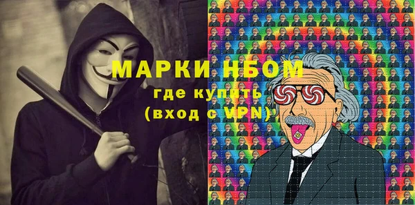 стаф Бородино