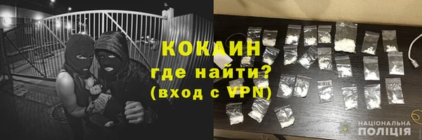 стаф Бородино