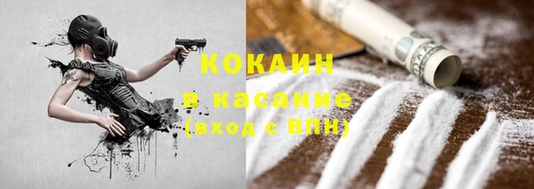 стаф Бородино