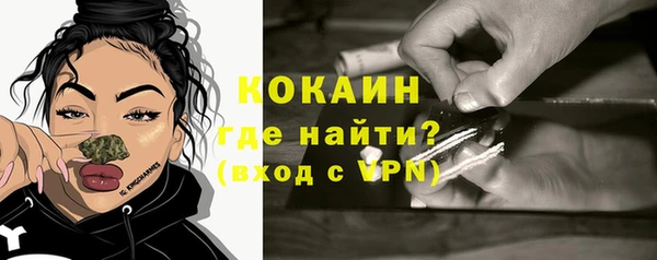 стаф Бородино