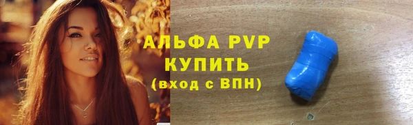 стаф Бородино