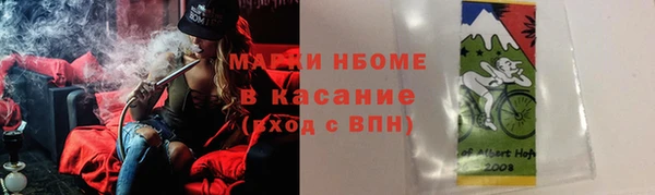 стаф Бородино