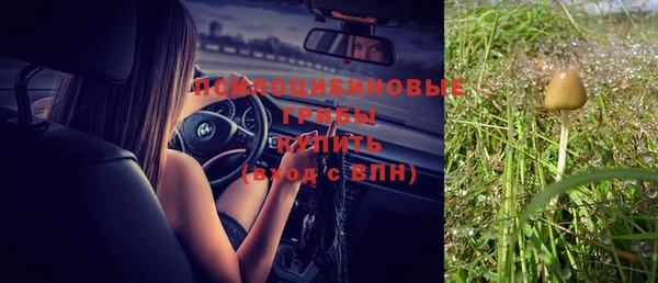 стаф Бородино