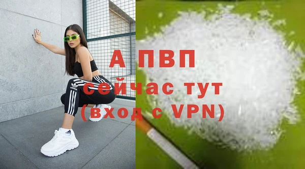 стаф Бородино