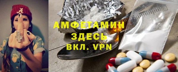 стаф Бородино