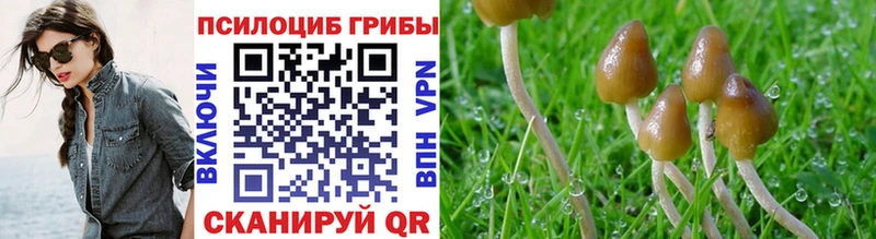 Псилоцибиновые грибы прущие грибы  Зима 