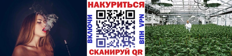 закладки Зима Канабис планчик